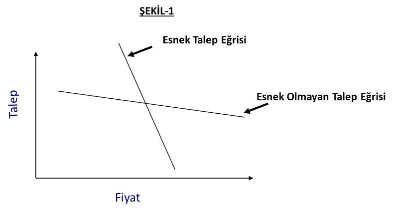 Şekil 1: Talebin fiyat esnekliği